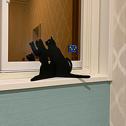 黒猫グッズ/トイレの窓/バス/トイレのインテリア実例 - 2021-04-04 01:29:45