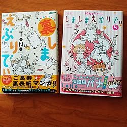 部屋全体/今月の新刊/TONO/しましまえぶりでい/裏しまえぶりでいのインテリア実例 - 2023-04-08 13:18:15