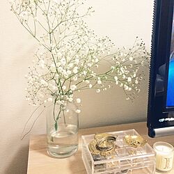リビング/IKEA/無印良品/一人暮らし/花のある暮らしのインテリア実例 - 2017-01-23 21:14:19