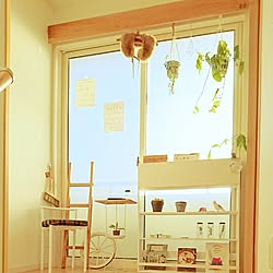 棚/観葉植物/木工/DIY/セリア...などのインテリア実例 - 2016-02-22 21:02:27