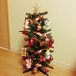 リビング/クリスマスツリー/ディズニー/ダイソーのインテリア実例 - 2015-12-06 22:00:54