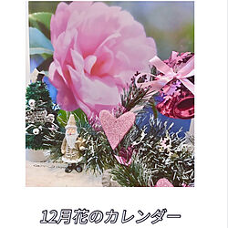 12月の花のカレンダー/ピンク色のサザンカ/お花のある暮らし/お花大好き♡/いいね！ありがとうございます(*^^*)...などのインテリア実例 - 2021-12-04 07:39:14