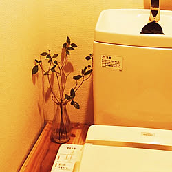 気分を上げたくて/トイレバスの写真はむずかしい/ありがとう/NO GREEN NO LIFE/グリーン化計画♡...などのインテリア実例 - 2019-10-31 02:06:51