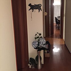玄関/入り口/ニトリ/IKEA/観葉植物のインテリア実例 - 2016-06-19 00:21:09