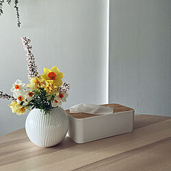 円形テーブル/ティッシュケース/花瓶/IKEA/セルフリフォーム...などのインテリア実例 - 2023-04-14 07:01:48