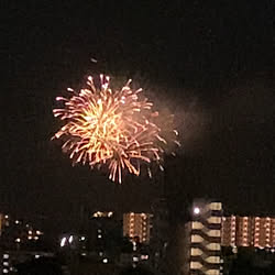 ZOZOマリンのでもディズニーでもないし/何故花火❓/どこの花火だ❓/明日はミニ運動会/シニア犬と暮らす...などのインテリア実例 - 2022-05-14 19:43:21