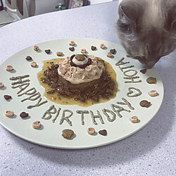 Happy Birthday/誕生日ケーキ/猫ケーキ/猫/ねこ...などのインテリア実例 - 2019-05-02 21:31:27
