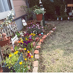 小さな庭‎*( ᐛ )( ᐖ )ﾟ.*❁/植物のある暮らし/孫バカです◡̈⃝︎⋆︎* ◡̈⃝︎⋆︎*/ガーデニング◡̈⃝︎⋆︎* ◡̈⃝︎/閲覧ありがとう꒰୨୧꒱•͈ᴗ•͈꒰୨୧꒱...などのインテリア実例 - 2021-03-30 17:06:33