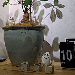 観葉植物/雑貨/ハロウィン/棚のインテリア実例 - 2020-10-02 08:21:30