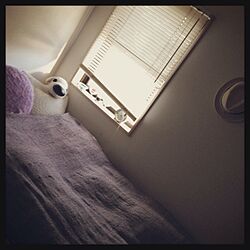 ベッド周り/紫のインテリア実例 - 2013-05-07 17:09:45