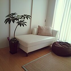 白のチカラ/緑/白メイン/植物/IKEA...などのインテリア実例 - 2016-08-21 08:42:48