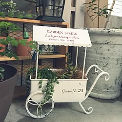 玄関/入り口/グリーンネックレス/多肉植物/ワークショップ/みどりの雑貨屋さん...などのインテリア実例 - 2016-05-25 18:48:34