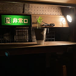 DIY/観葉植物/アンティーク/照明/棚のインテリア実例 - 2021-06-14 21:47:10