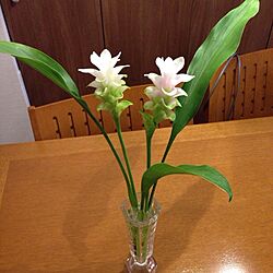 机/お花のインテリア実例 - 2013-08-04 22:09:12
