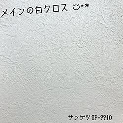 壁/天井/塗り壁風/メインクロス/クロス/サンゲツクロス...などのインテリア実例 - 2016-09-26 04:56:03