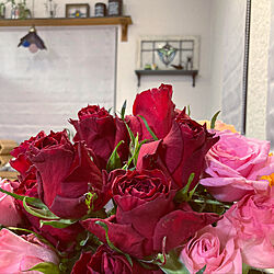 花のある暮らし/生花/オレンジの薔薇/ピンクの薔薇/赤い薔薇...などのインテリア実例 - 2022-04-05 03:17:08