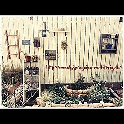 DIY/植物/庭/板壁のインテリア実例 - 2014-12-10 21:02:29