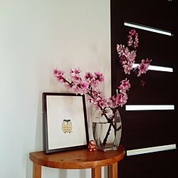 玄関/入り口/手作り棚/桃の花のインテリア実例 - 2016-04-05 10:53:15
