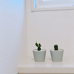 cactus/plants/Cainz/トイレ/LIXILトイレ...などのインテリア実例 - 2020-07-15 13:40:30
