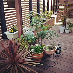 Garden*/wooddeck/Outdoor　Living/ガーデン/ガーデニング...などのインテリア実例 - 2018-07-13 11:32:14