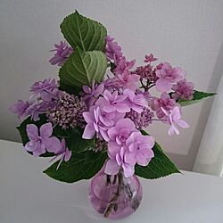 リビング/花のインテリア実例 - 2017-06-21 22:13:08