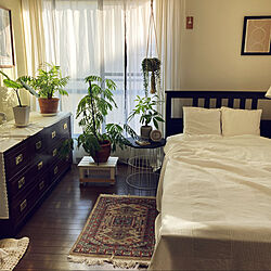 IKEAのベッド/寝室/築３０年のお家/みてくださってありがとうございます/観葉植物のある暮らし...などのインテリア実例 - 2022-11-06 14:33:32