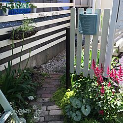 ベッド周り/植物/手作りの庭/welcomeプレート/ガーデニング...などのインテリア実例 - 2016-06-03 13:33:14