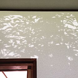壁/天井/ひかりのインテリア実例 - 2016-08-10 21:29:18