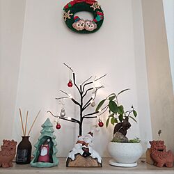 玄関/入り口/クリスマス/観葉植物/観葉植物のある暮らし/セダムのインテリア実例 - 2023-12-17 15:02:04