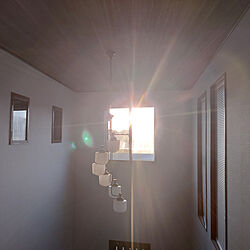 部屋全体/日の光のインテリア実例 - 2022-04-29 22:29:12