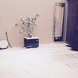 玄関/入り口/デッキ/雪景色のインテリア実例 - 2014-12-18 10:24:53