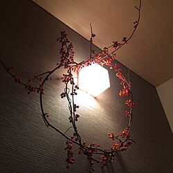 壁/天井/手作り/照明のインテリア実例 - 2014-02-26 17:07:12