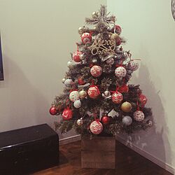 クリスマス/ニトリ/クリスマスツリー鉢のインテリア実例 - 2016-12-16 08:00:21