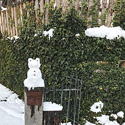 玄関/入り口/雪だるま/カエル雪だるま/ナチュラル/木造住宅...などのインテリア実例 - 2019-01-27 12:06:54