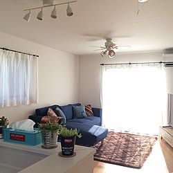 リビング/IKEA/観葉植物のある部屋/カリフォルニアインテリアに憧れる/定点観測のインテリア実例 - 2016-06-07 20:57:59