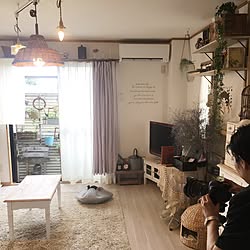 部屋全体/古道具/ねこと暮らす/ひとり暮らし/1R...などのインテリア実例 - 2017-07-17 20:07:09