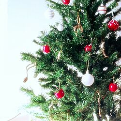 リビング/クリスマスツリー♪/ニトリ クリスマス/リンゴのオーナメントのインテリア実例 - 2014-11-17 08:09:32
