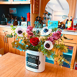 お花のある暮らし/花瓶の代用品/リビング/缶/花...などのインテリア実例 - 2022-03-15 23:27:43