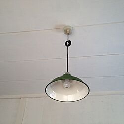 壁/天井/DIY/照明のインテリア実例 - 2014-01-31 17:22:21