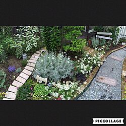ベッド周り/植物/芝生の庭から草花木果の庭へ/ガーデニング/ガーデン...などのインテリア実例 - 2016-06-05 15:10:45