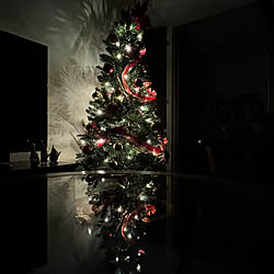 クリスマス/癒し/クリスマスツリー/クリスマスディスプレイ/イベント参加中...などのインテリア実例 - 2022-11-25 17:58:03