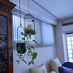 壁/天井/観葉植物のある暮らし/IKEAガーデニング雑貨/LEDキャンドル/フェイクグリーン...などのインテリア実例 - 2023-07-23 17:20:44