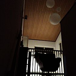 壁/天井のインテリア実例 - 2017-02-26 23:34:12