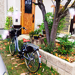 桜の落ち葉/YAMAHAの電動自転車/買ってよかったもの/ナチュラルインテリア/グリーンのある暮らし...などのインテリア実例 - 2020-11-13 12:51:25