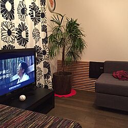 部屋全体/IKEA/living room/baseball calendar/ミニマリスト...などのインテリア実例 - 2015-06-26 14:02:24