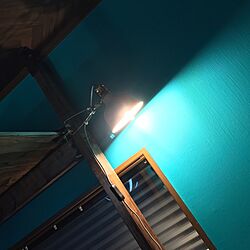 壁/天井/IKEA RANARP/IKEA 照明/IKEA/ターコイズブルーの壁のインテリア実例 - 2017-03-24 01:07:27