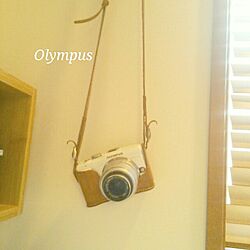 壁/天井/カメラ/カメラケース/オーダーメイド/オリンパスのインテリア実例 - 2014-03-06 12:01:41