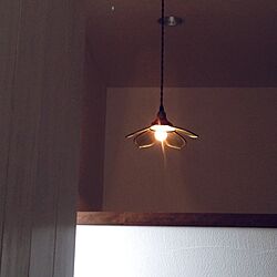 壁/天井/照明のインテリア実例 - 2014-04-16 09:49:39