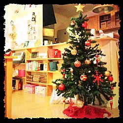 リビング/クリスマスツリー/コストコのインテリア実例 - 2013-11-21 00:06:03