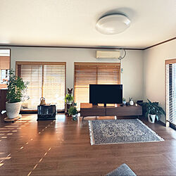 好きな風景/部屋全体/ボーコンセプト テレビボード/観葉植物/ブラウン...などのインテリア実例 - 2023-02-14 08:11:58